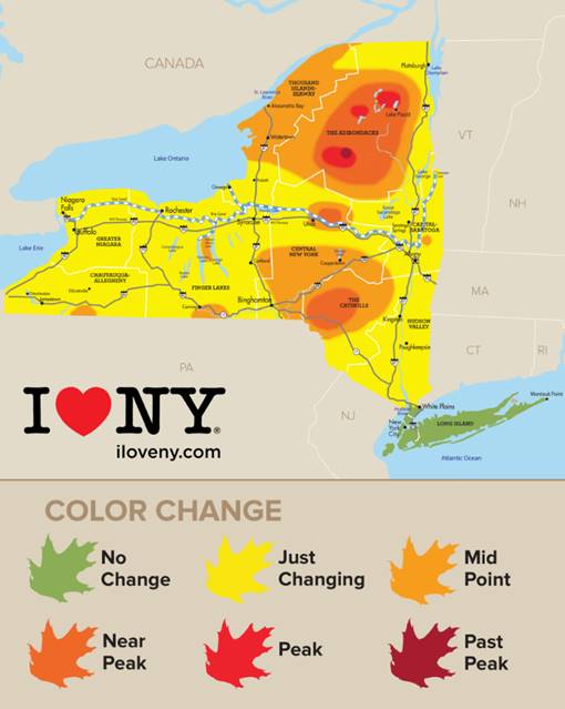 NYS Fall Foliage&nbsp;Report!