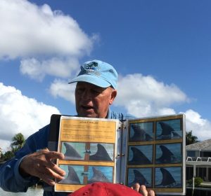 Bob McConville providing interesting info about dolphins