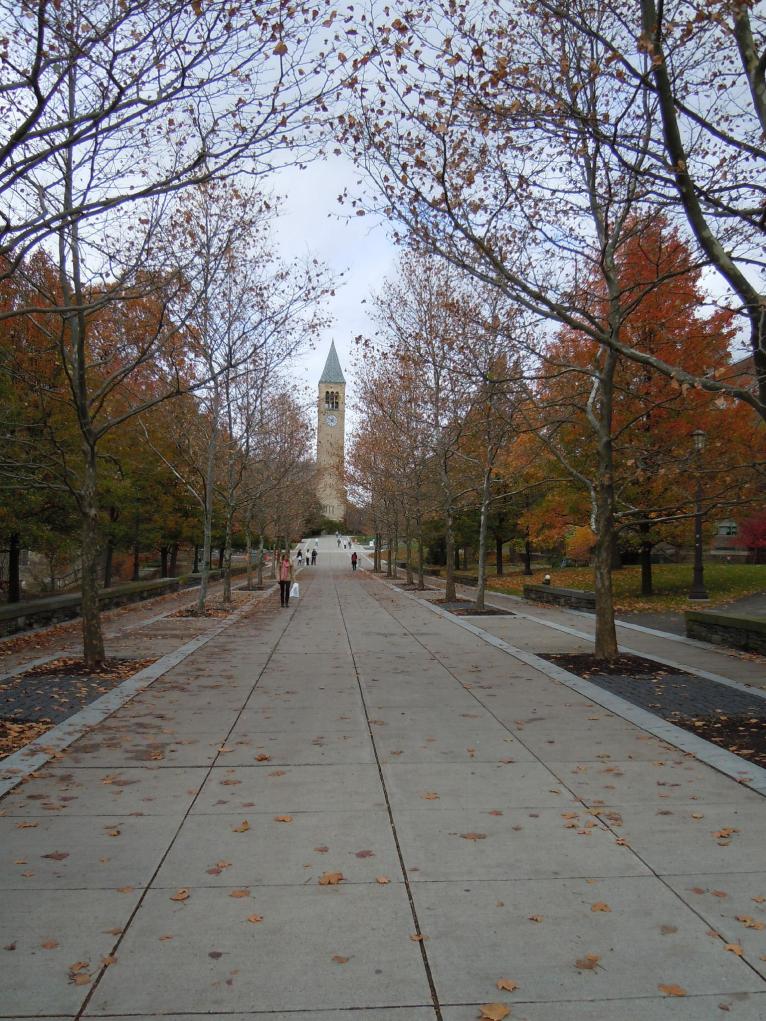 foodnetwork lunch, ithaca, house tour-062 (2)