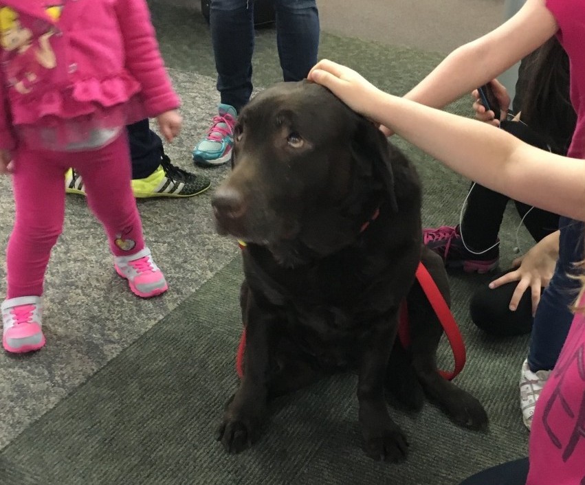 Sophie providing comfort to young travelers at Albany International Airport