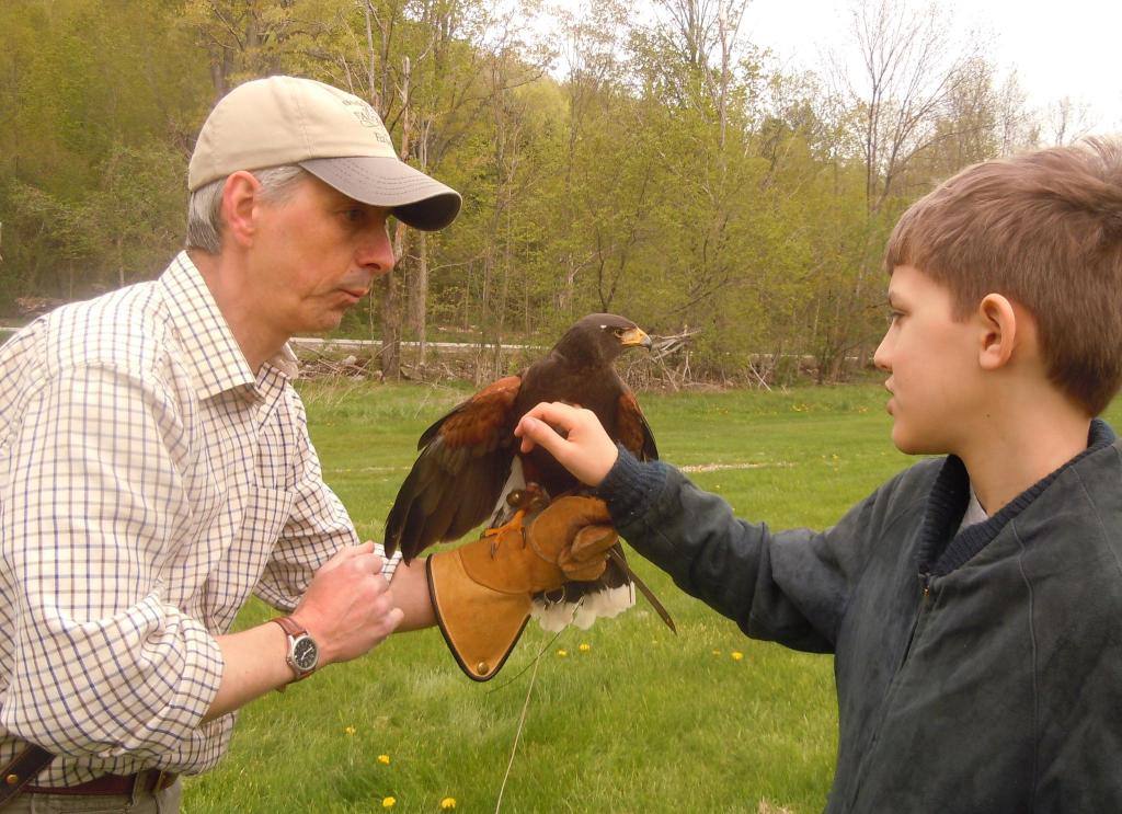 British-school-of-falconry-090