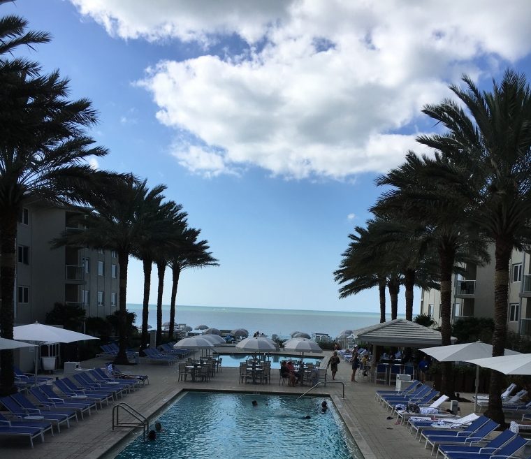 View of the Beach from the Edgewater Beach Hotel