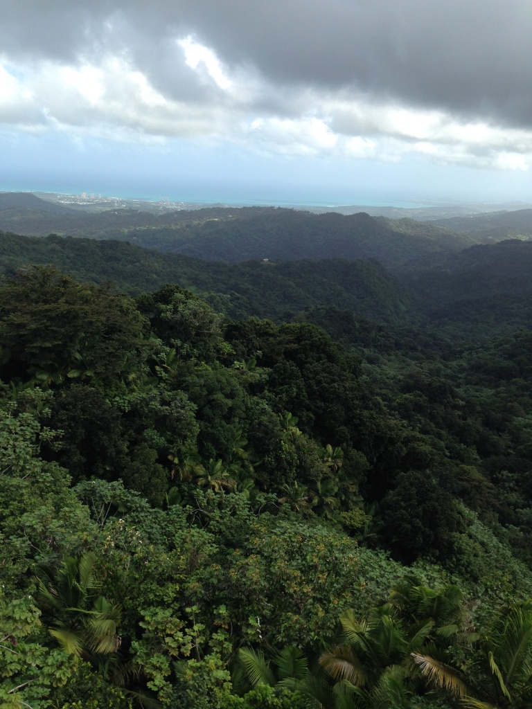 El Yunque Rainforest