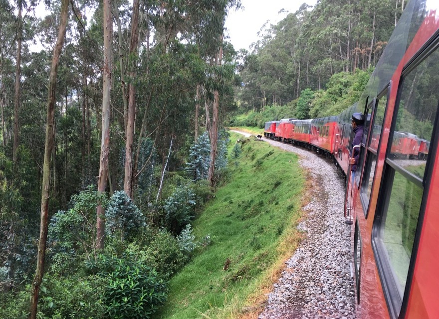 The Tren Crucero curling aroundh Ecuadors eucalyptus dotted landscape.