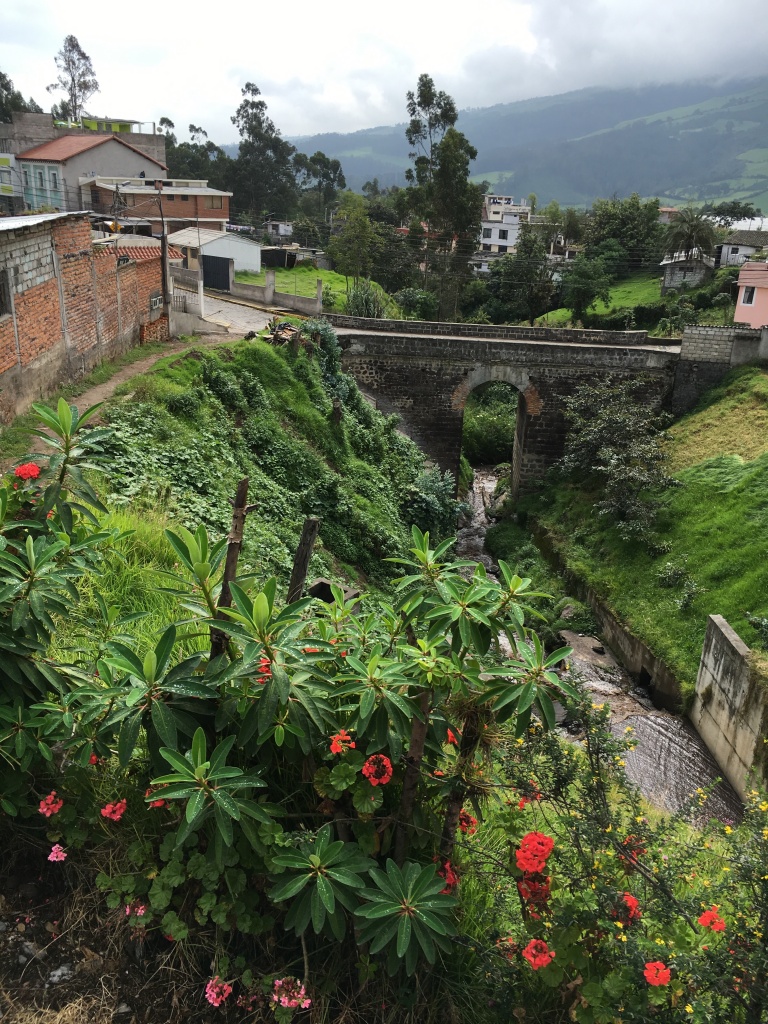 Lush landscape of Ecuador