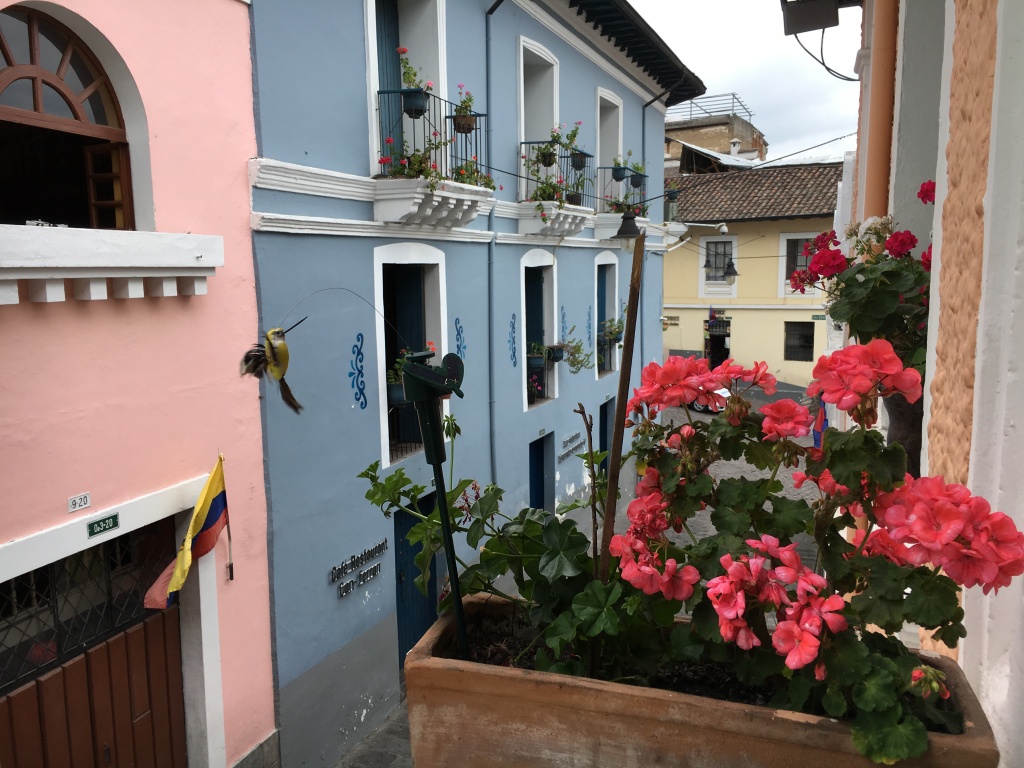 View of the Calle Ronda district 