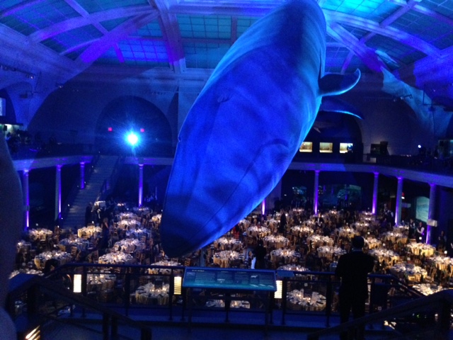 Dinner at the American Museum of Natural History