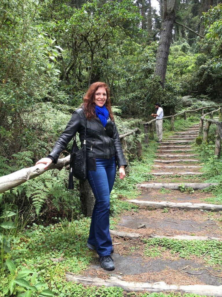 Hiking in the Andes Mountains