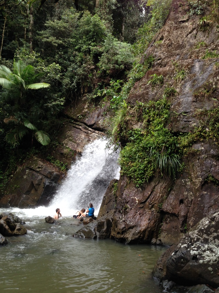 Swimming in a waterfall in El Yunque