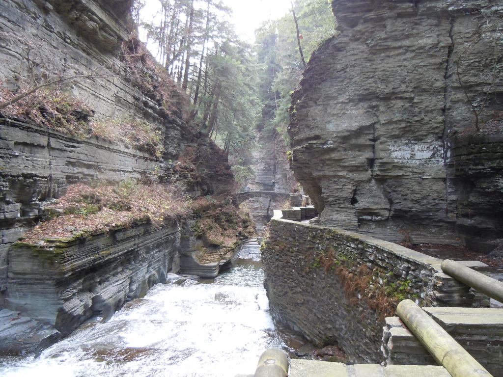 foodnetwork lunch, ithaca, house tour-101