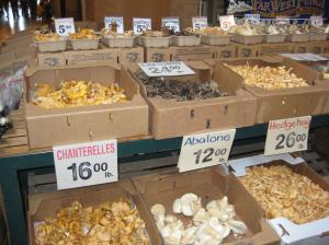 California December 2009, New Yorker cartoonist 019