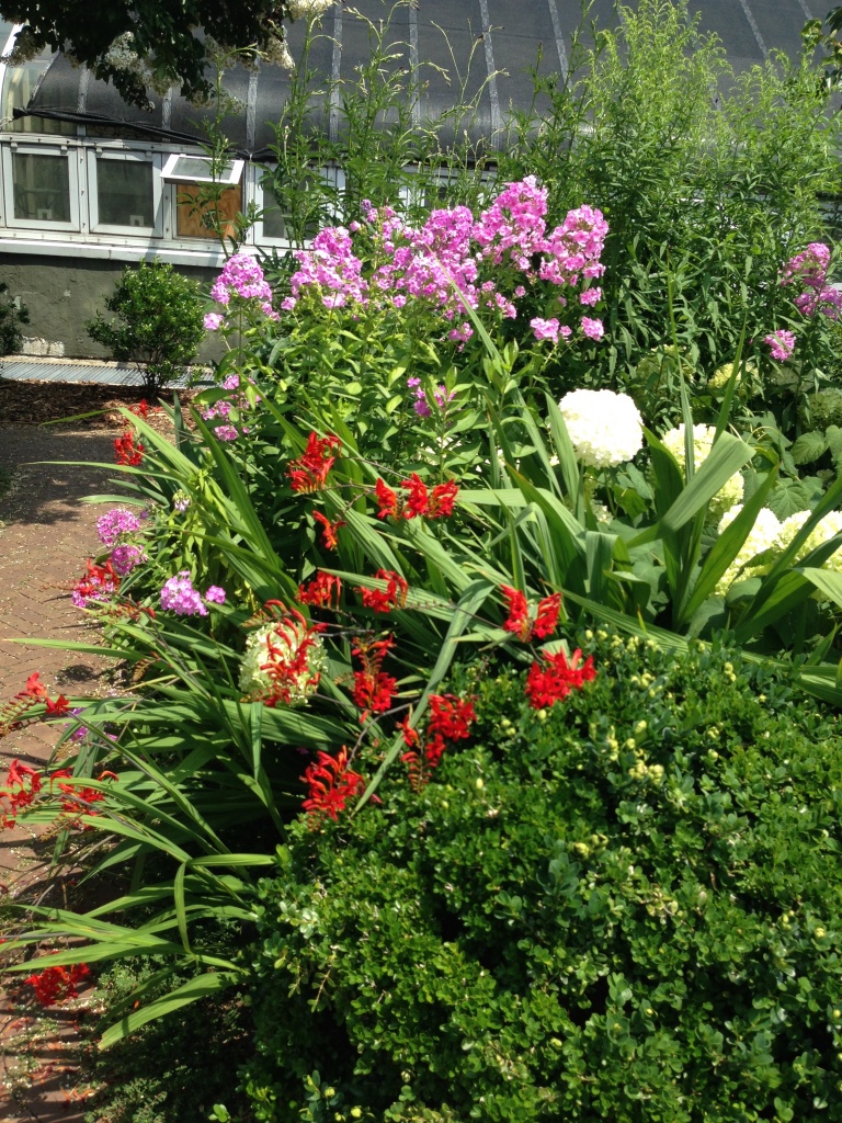 Brooklyn Botanical Garden