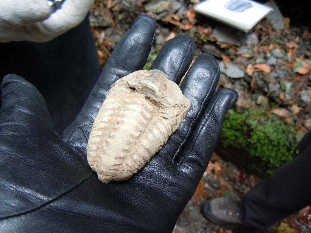 foodnetwork lunch, ithaca, house tour-104 (2)