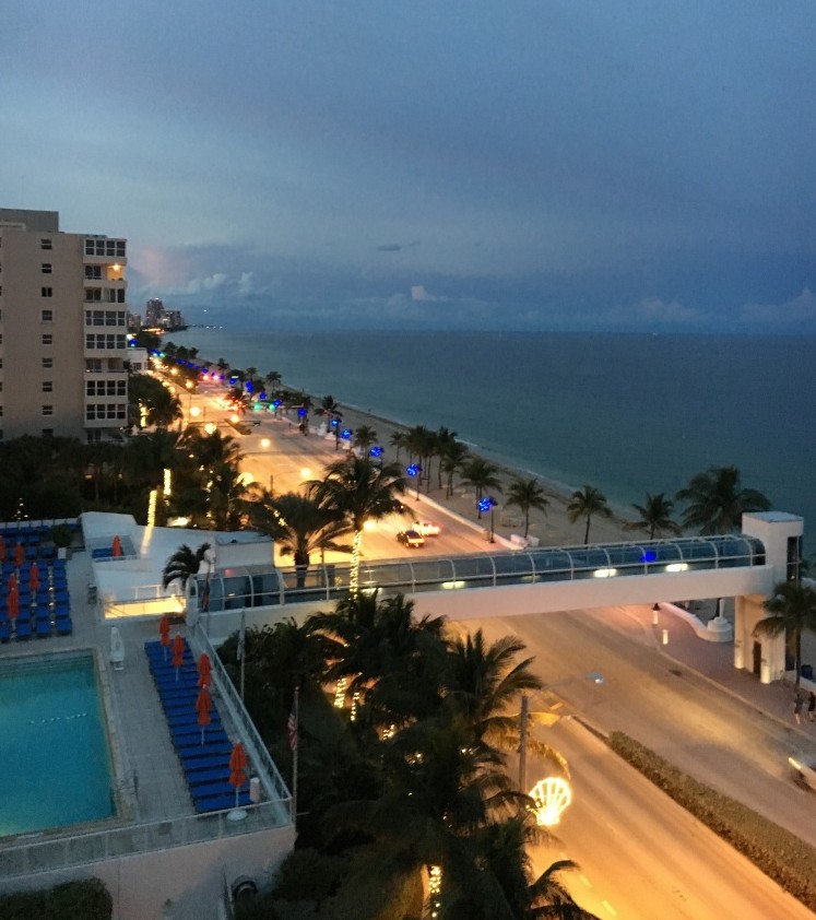 View from the Westin