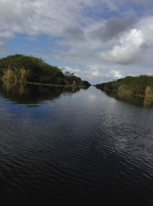 Down the Florida Everglades
