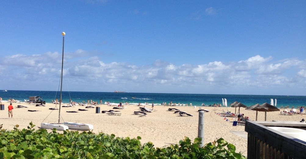 Sunny Paradise at the Harbor Beach Marriott Resort and Spa
