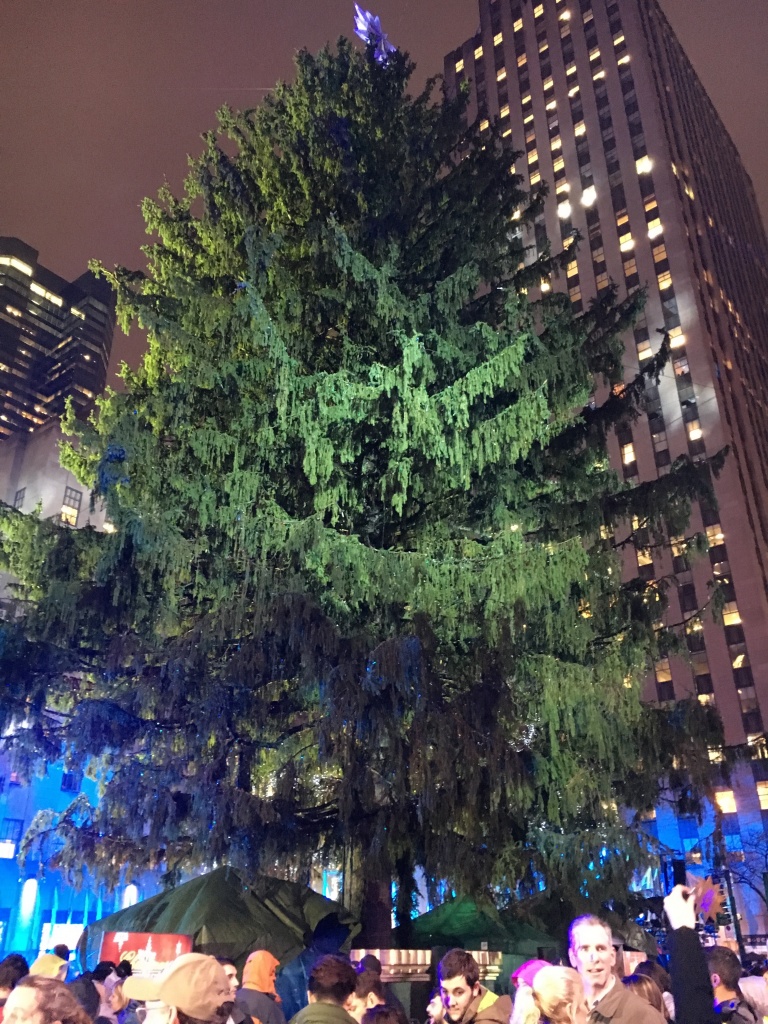 Ready for the celebration