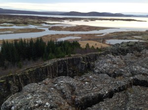 Tectonic plates near something uncommonly seen- trees