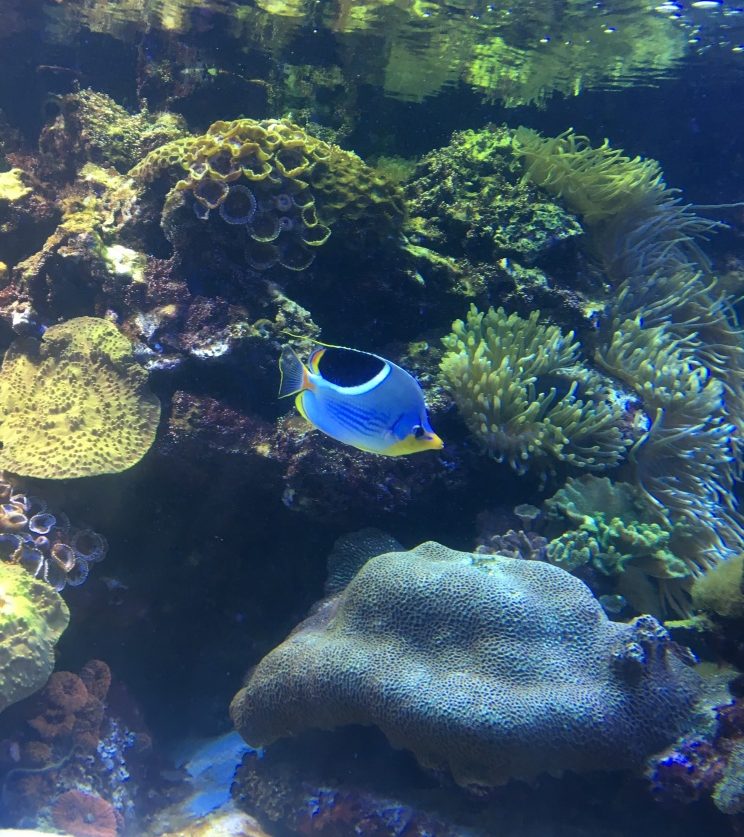 Fun Getaway to&nbsp;Baltimore