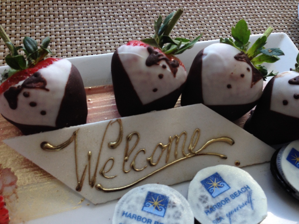 Escape to Sunny Ft.&nbsp;Lauderdale